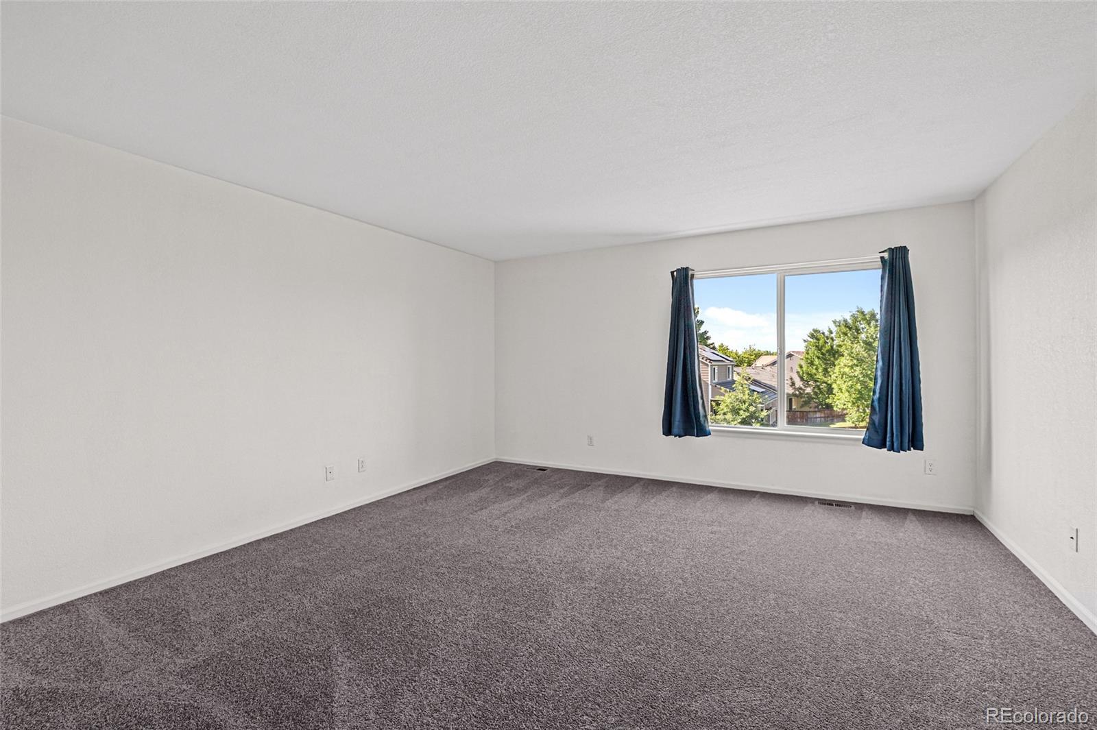 5160 Ashbrook Circle Highlands Ranch, CO 80130 - Photo 6 of 30