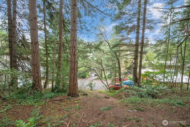 a view of outdoor space and trees