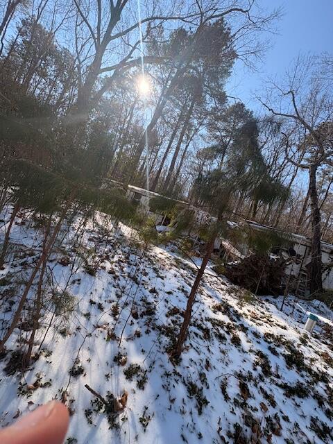 646 Sheepside Road Laneview, VA 22504 - Photo 2 of 3 a view of a yard with a yard