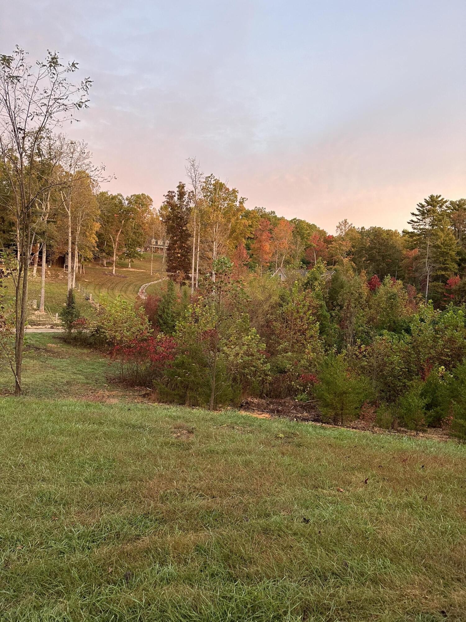 120 Mason Road Tellico Plains, TN 37385 - Photo 26 of 27 Gallery Image 26