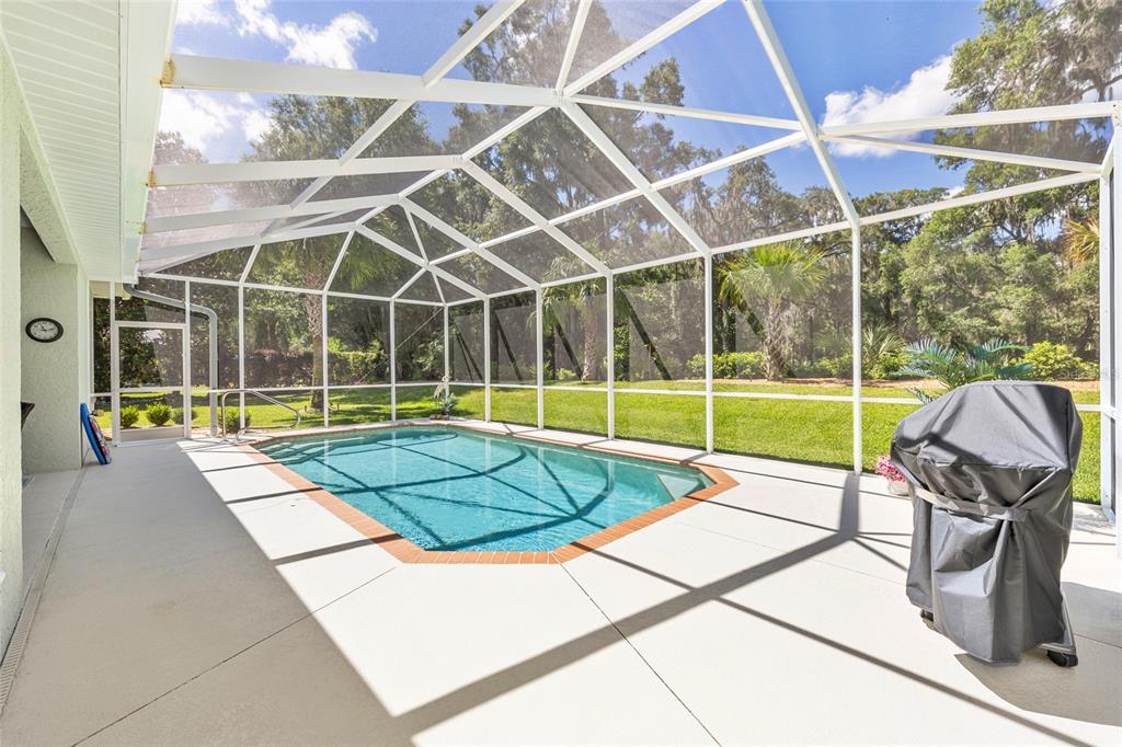 19639 Southwest 77th Loop Dunnellon, FL 34432 - Photo 48 of 59 a view of a backyard with a swimming pool