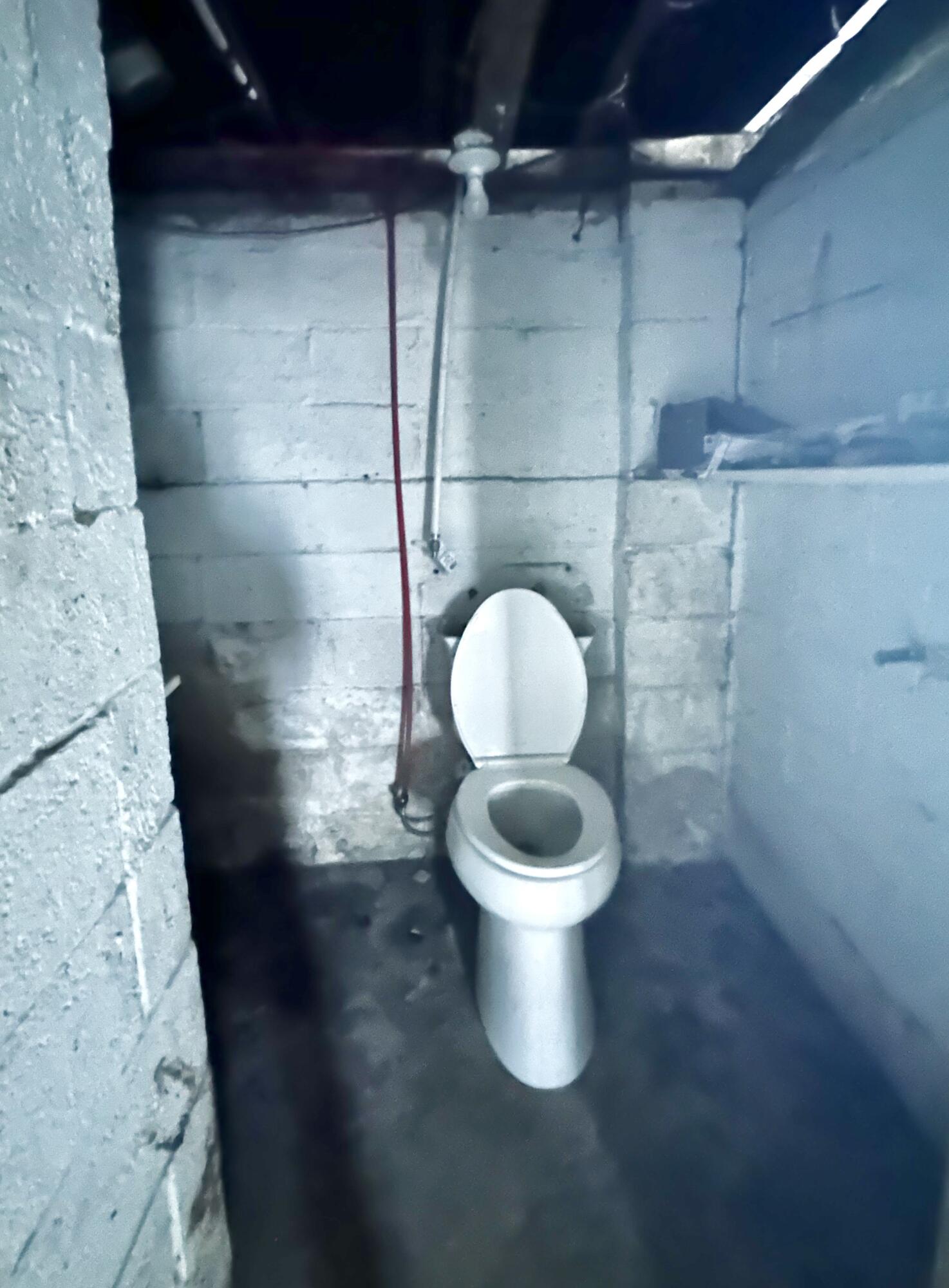 13624 Turner Street Detroit, MI 48238 - Photo 17 of 20 IMG_7162