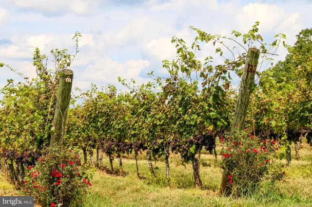 $409,900 | 269 Montevista Avenue, Orange, VA 22960