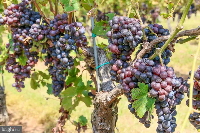 $409,900 | 269 Montevista Avenue, Orange, VA 22960