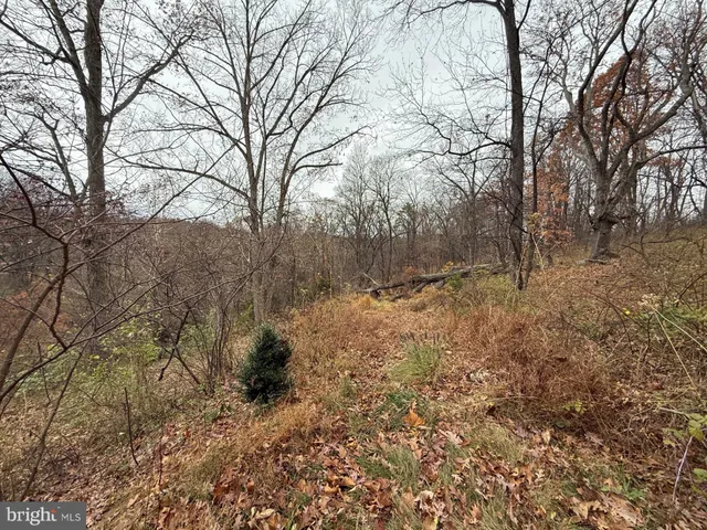 $389,990 | 521 Northern Spy Drive, Linden, VA 22642