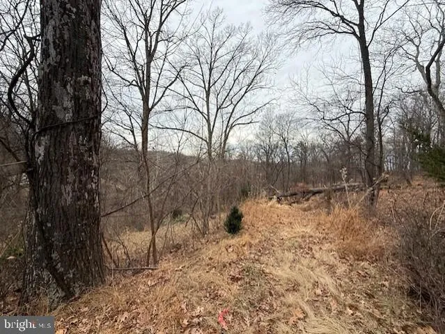 $389,990 | 521 Northern Spy Drive, Linden, VA 22642