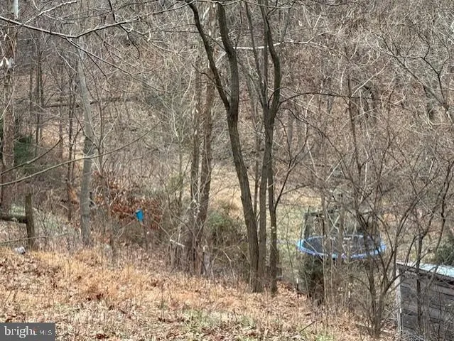 $389,990 | 521 Northern Spy Drive, Linden, VA 22642