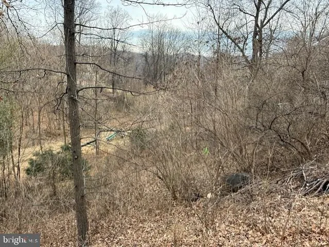 $389,990 | 521 Northern Spy Drive, Linden, VA 22642