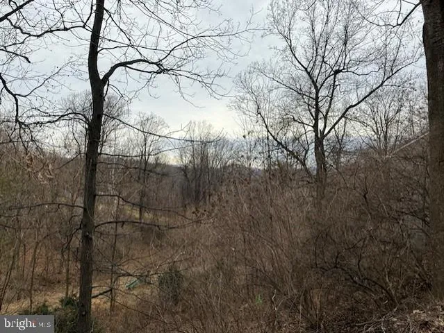 $389,990 | 521 Northern Spy Drive, Linden, VA 22642