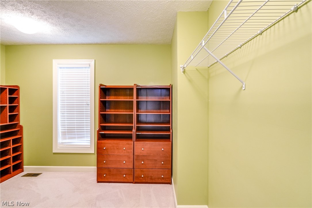 4561 Ridgestone Way Medina, OH 44256 - Photo 26 of 50 Owner's Walk-In Closet with California Cabinets storage, window with blinds, and carpet