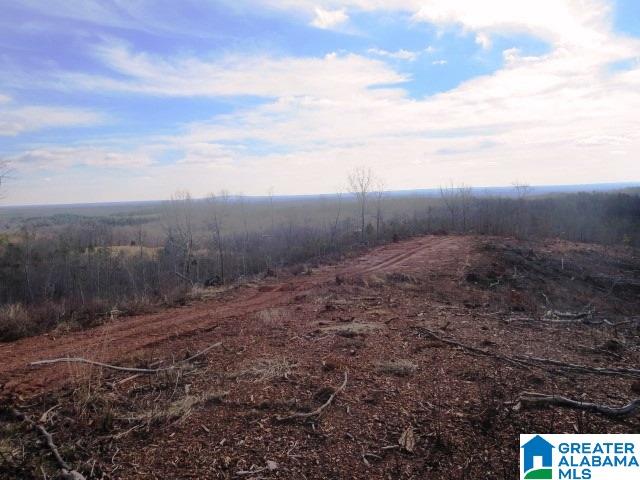 641 County Road, Unit 80 Ranburne, AL 36273 - Photo 4 of 7