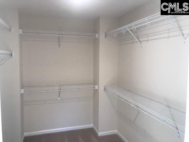 1375 Tamarind Lane Chapin, SC 29036 - Photo 12 of 18
