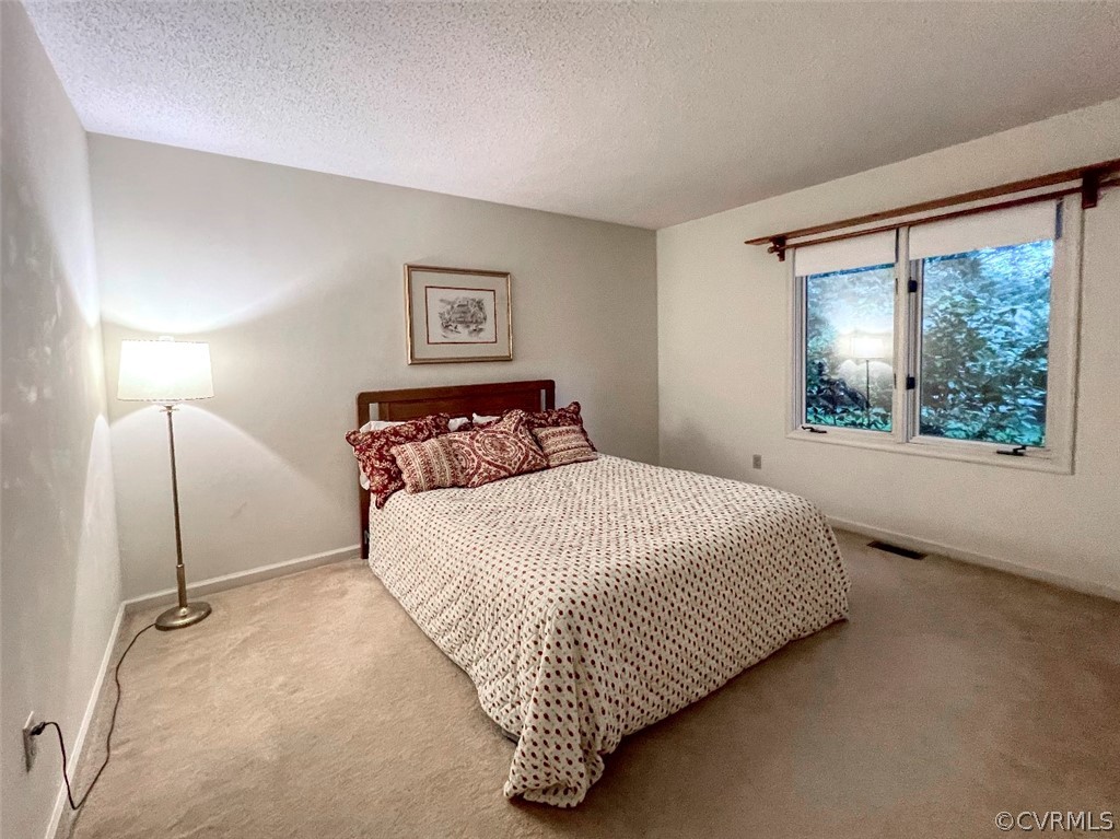 129 Lakeside Circle Williamsburg, VA 23185 - Photo 25 of 49