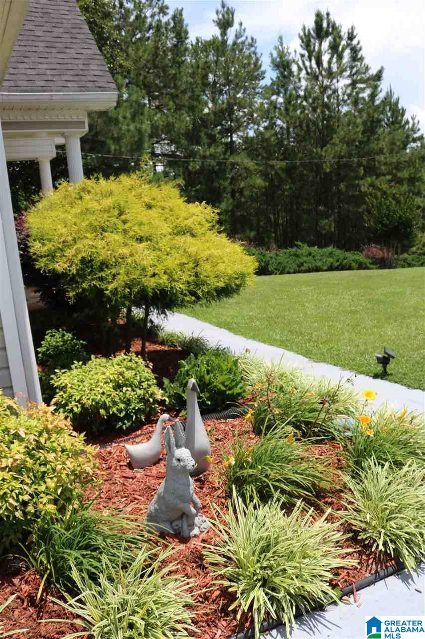 1394 Lane Branch Road Wedowee, AL 36278 - Photo 35 of 37