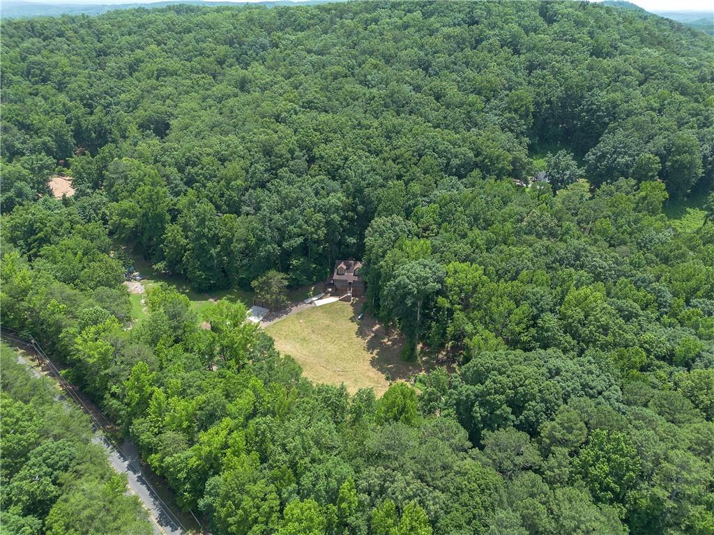 331 Salacoa Road Southeast Fairmount, GA 30139 - Photo 8 of 87