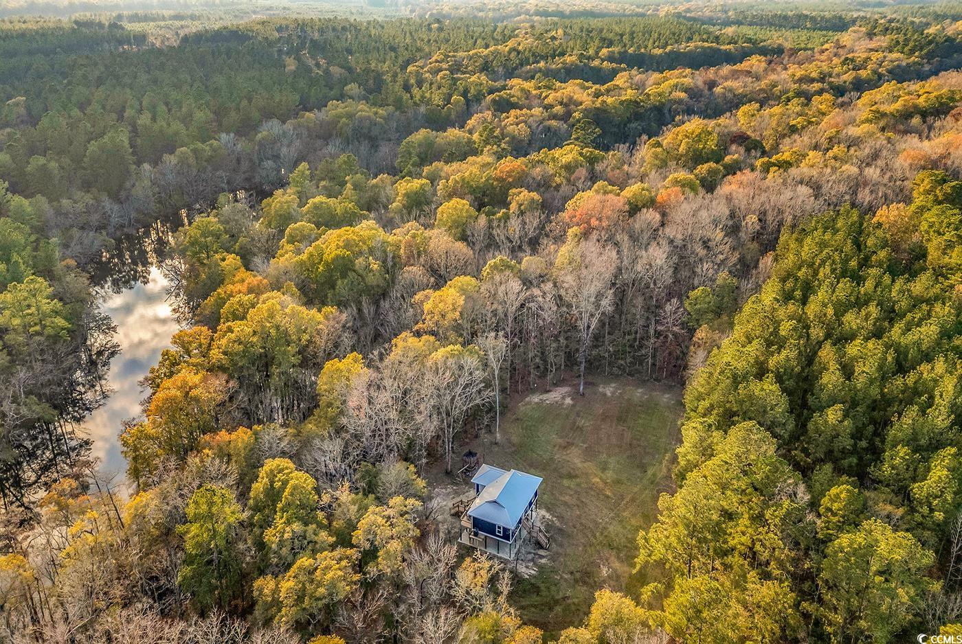 32 Old Place Kingstree, SC 29556 - Photo 35 of 40 Aerial view of a heavily wooded area