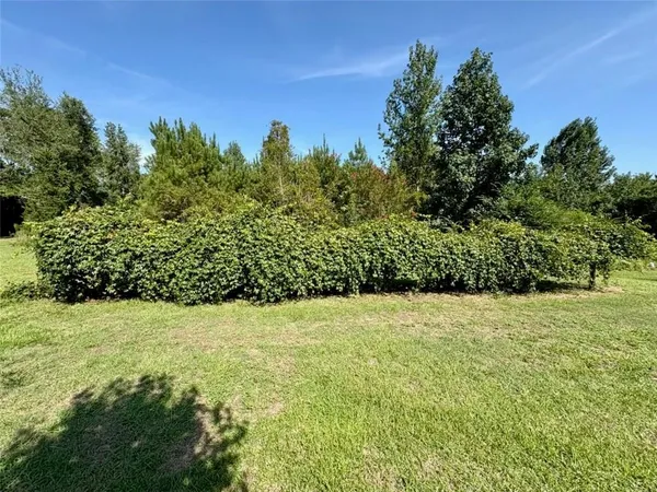 $248,000 | 992 Lookout Tower Road, Saline, LA 71070