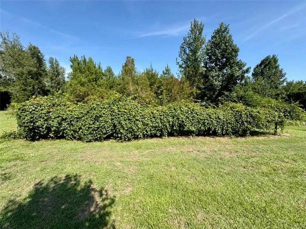 992 Lookout Tower Road Saline, LA 71070 - Photo 4 of 20