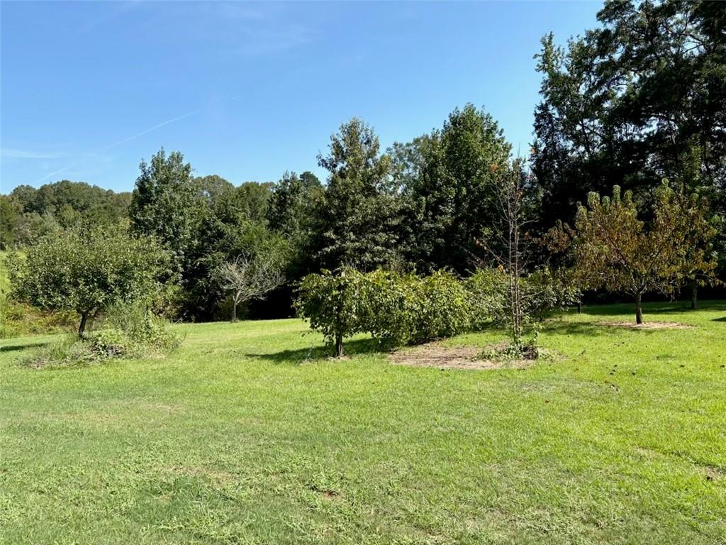 992 Lookout Tower Road Saline, LA 71070 - Photo 6 of 20