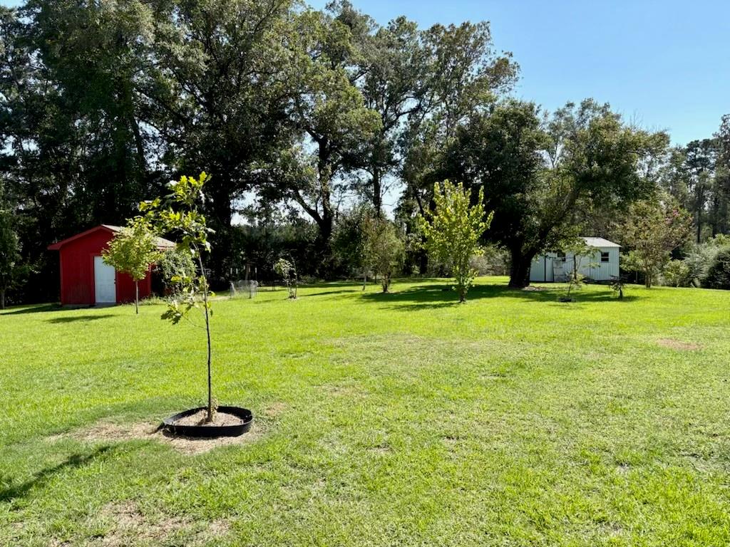 992 Lookout Tower Road Saline, LA 71070 - Photo 7 of 20
