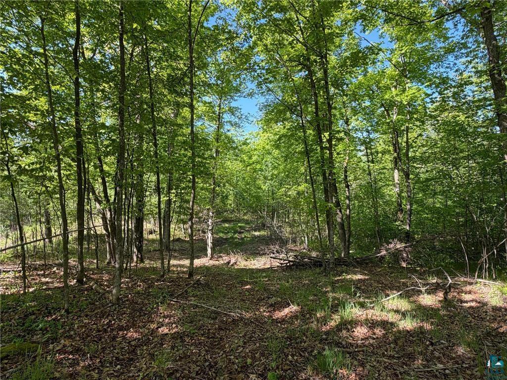 54003 Dollar Lake Road Sandstone, MN 55072 - Photo 20 of 40