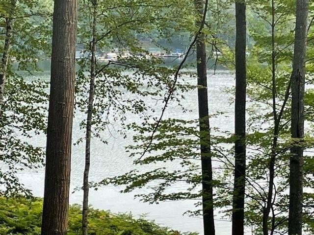 8986 North Royal Road, Unit 46 Canadian Lakes, MI 49346 - Photo 2 of 3 20220105155623219304000000-o