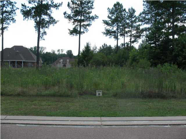 0 Wrenfield Way, Unit 28 Ridgeland, MS 39157 - Photo 1 of 1 Photo 1