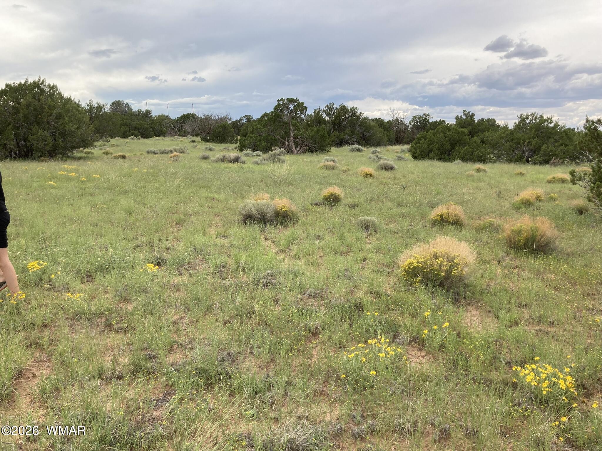4979 Tharp Road Snowflake, AZ 85937 - Photo 16 of 19