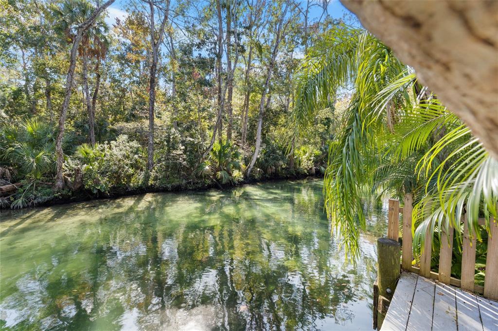 6110 Bear Trail Weeki Wachee, FL 34607 - Photo 38 of 48 a view of outdoor space with a lake view