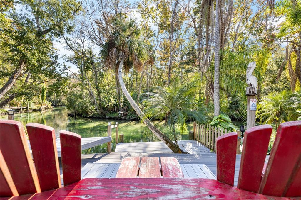 6110 Bear Trail Weeki Wachee, FL 34607 - Photo 39 of 48 a view of a patio with table and chairs potted plants and large tree