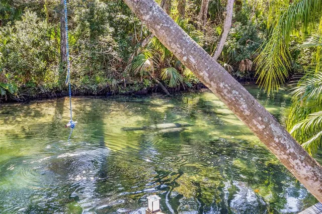 a view of a back yard of a house