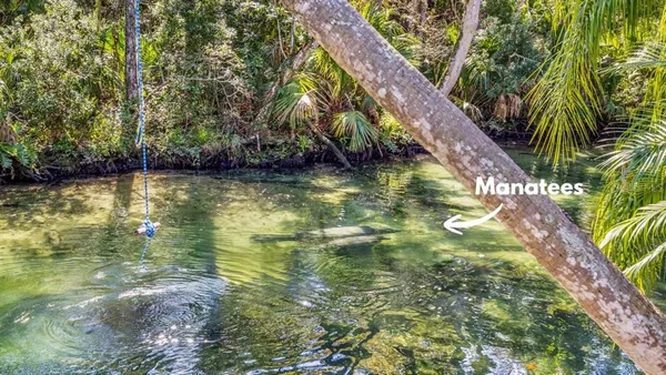 $1,200,000 | 6110 Bear Trail, Weeki Wachee, FL 34607