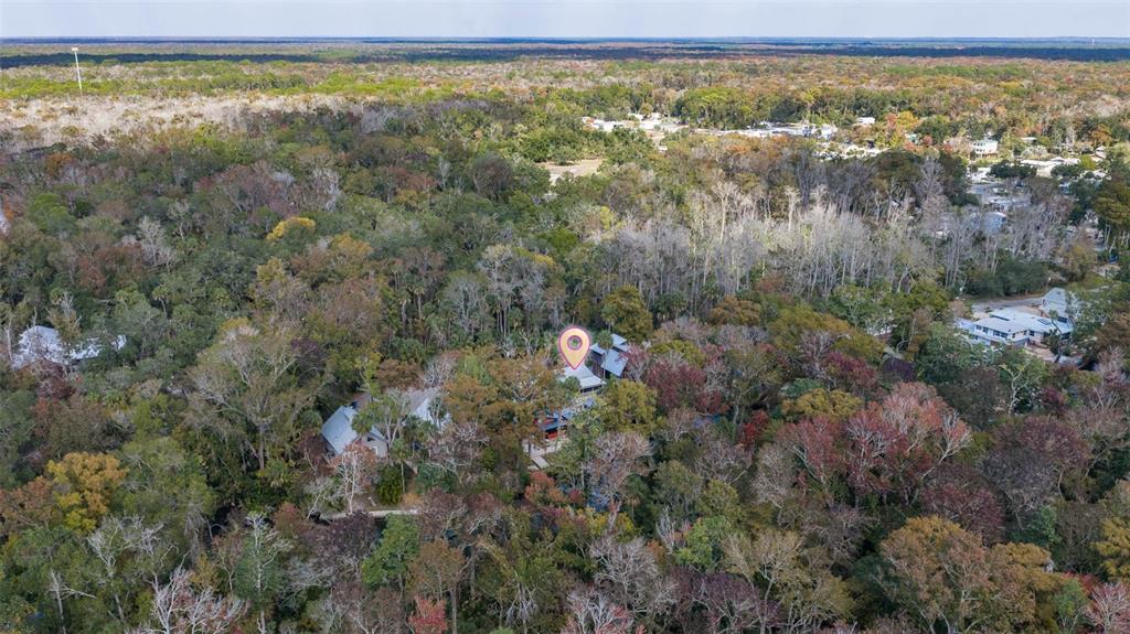 6110 Bear Trail Weeki Wachee, FL 34607 - Photo 43 of 48 a view of a forest with a forest