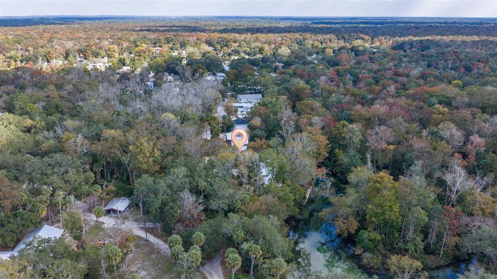 6110 Bear Trail Weeki Wachee, FL 34607 - Photo 43 of 45