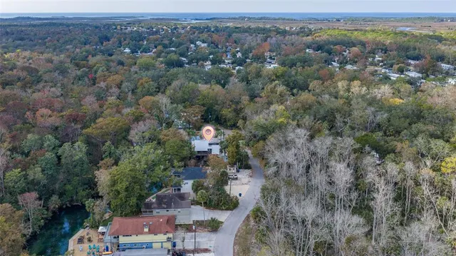 a view of a forest with a forest