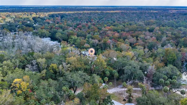a view of a forest with trees in the background
