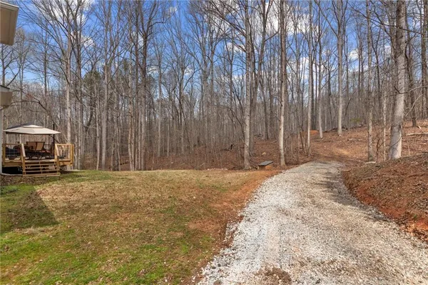 a view of a yard with trees