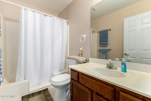 a bathroom with a sink a toilet and shower curtain