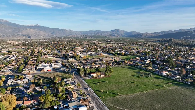 a view of a town with large trees