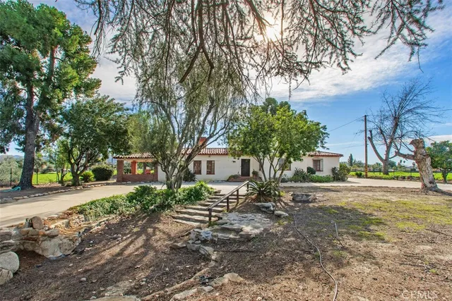 a view of a white house with a large tree and a yard with plants