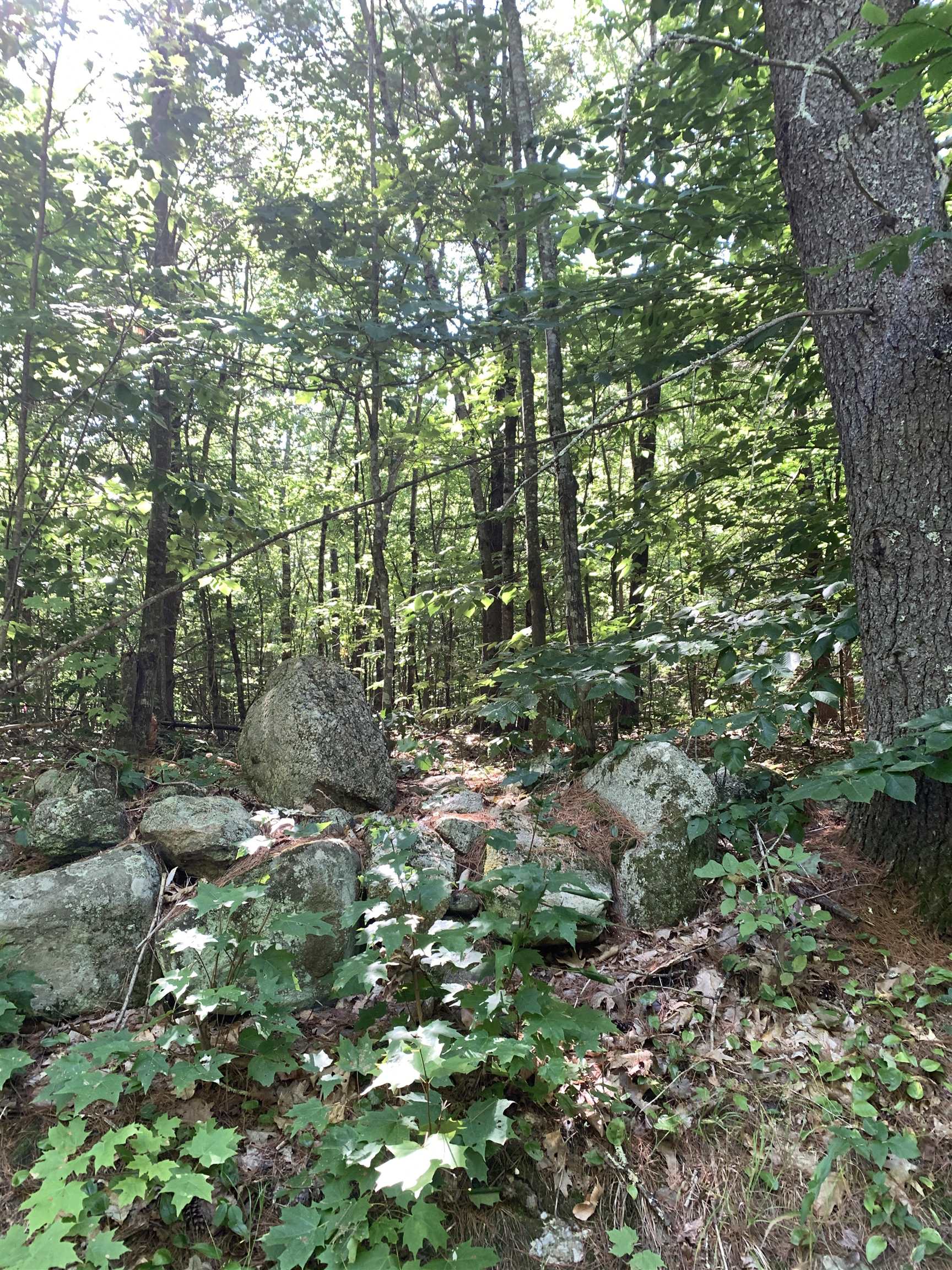 0 Reservation Road, Unit 622 Deerfield, NH 03037 - Photo 11 of 11 Gallery Image 11