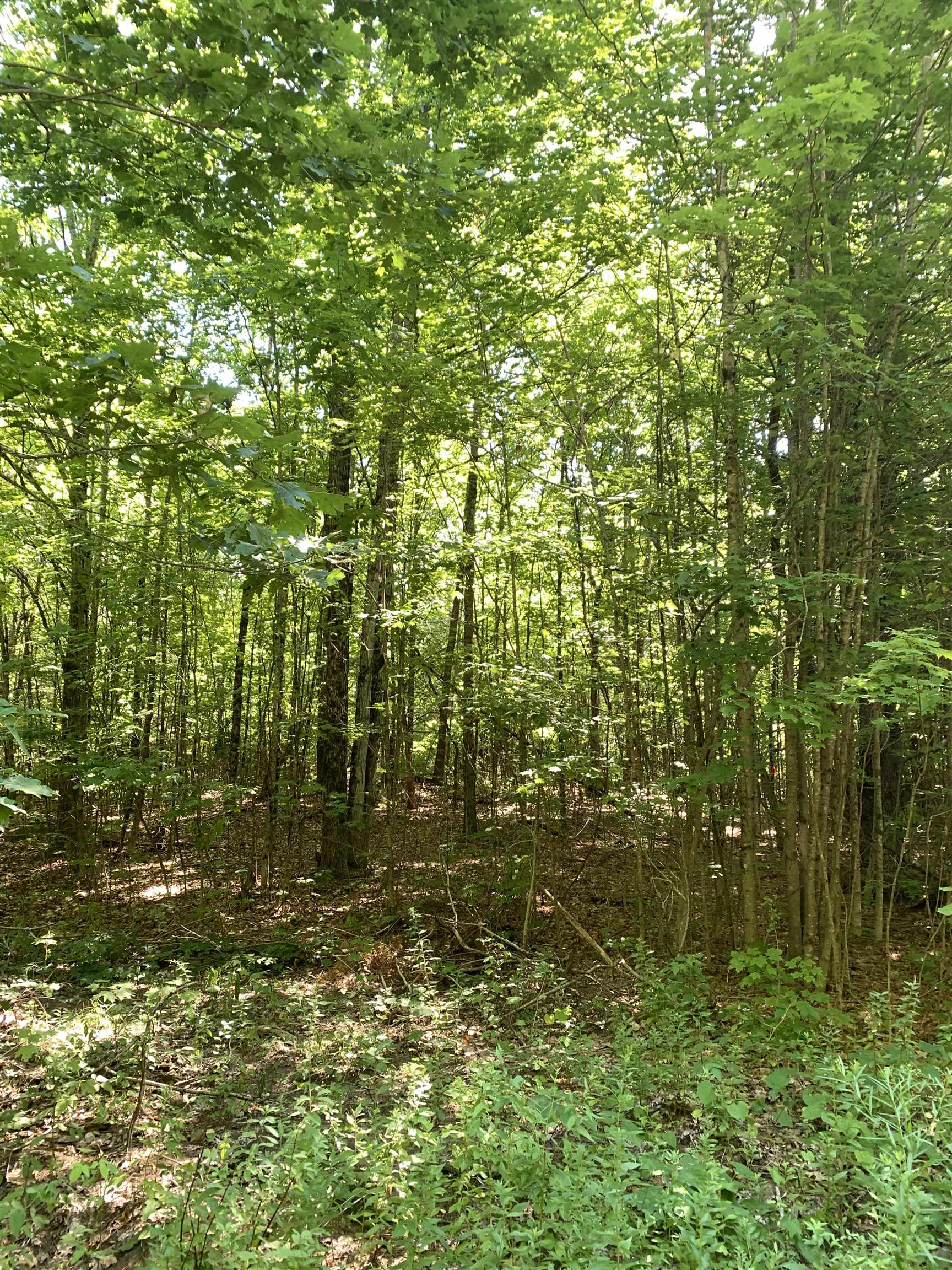 0 Reservation Road, Unit 622 Deerfield, NH 03037 - Photo 3 of 11 Gallery Image 3