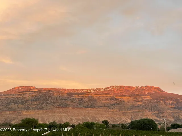 $2,675,000 | 759 36 3/10 Road, Palisade, CO 81526