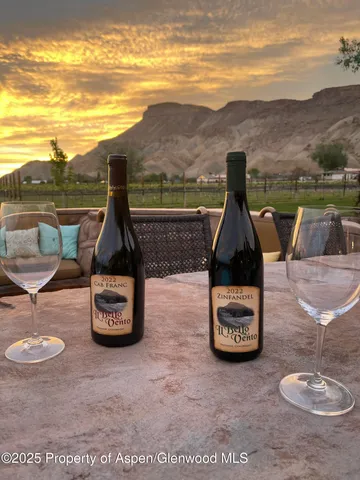 $2,675,000 | 759 36 3/10 Road, Palisade, CO 81526