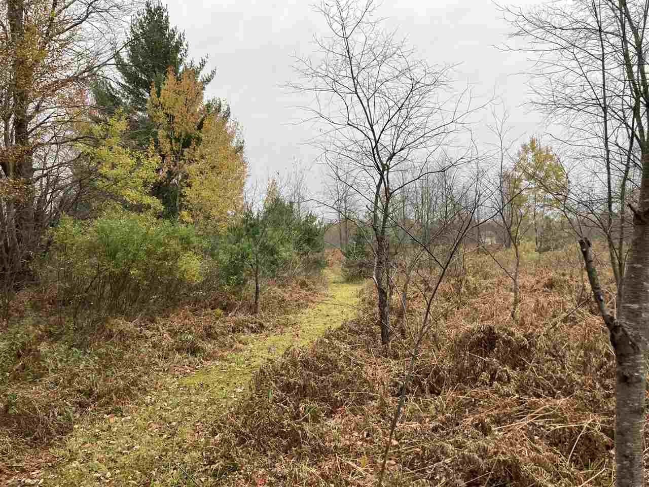 23458 Adams Road Copemish, MI 49625 - Photo 44 of 58 1881277-43.JPG