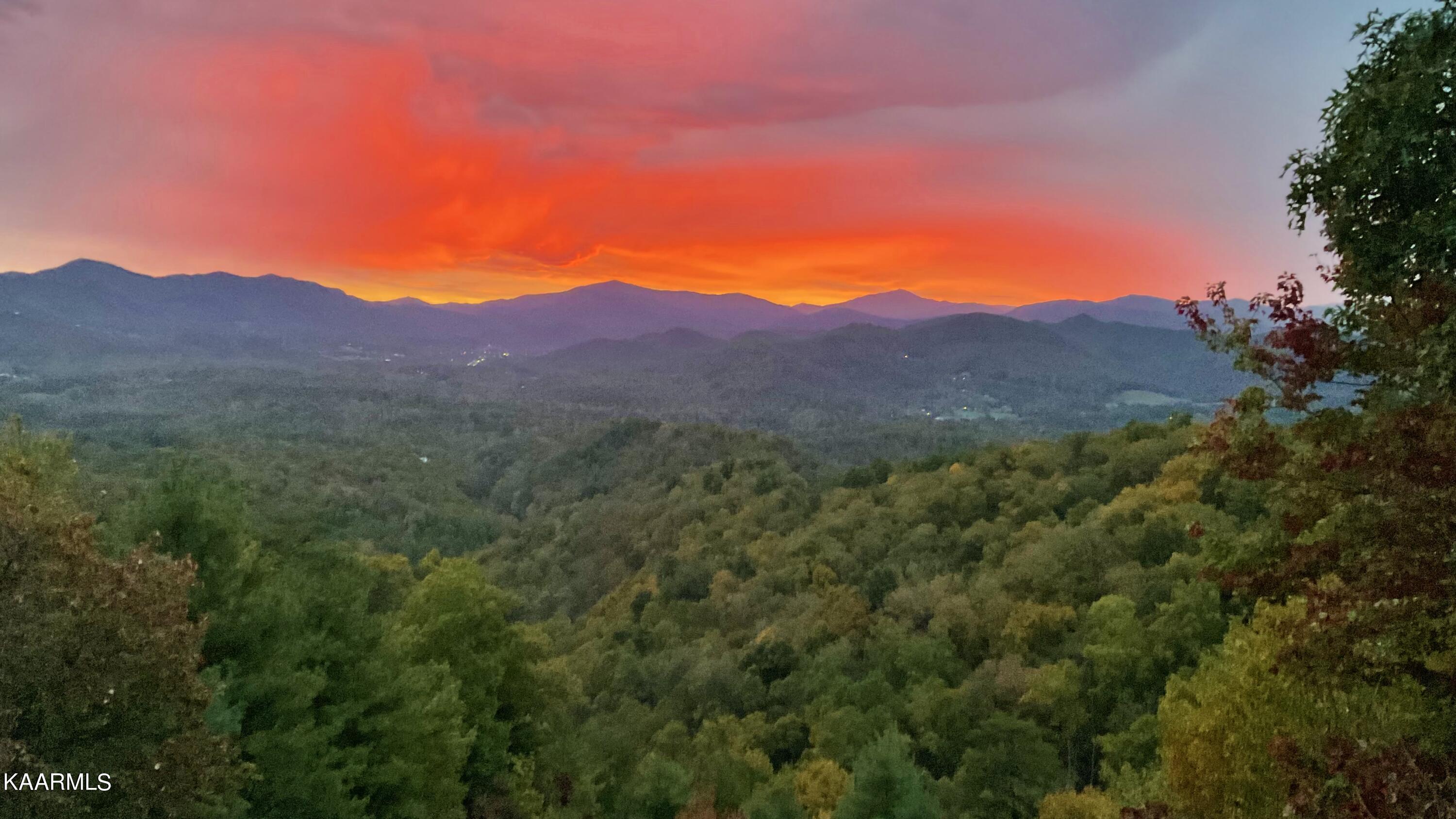 331 Kelly Ridge Road Townsend, TN 37882 - Photo 3 of 60 Good Morning World!