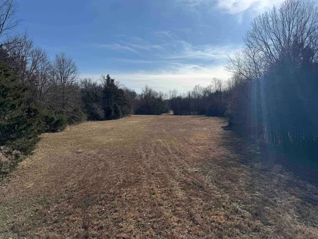 a view of outdoor space with trees all around