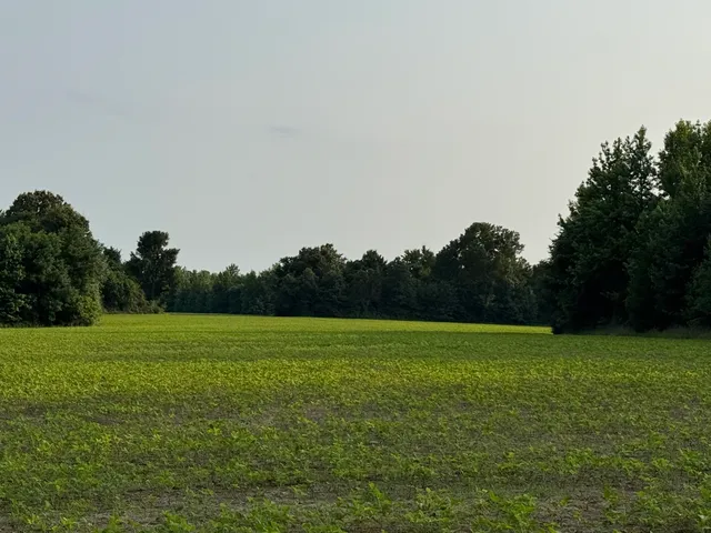a view of field and trees in the background