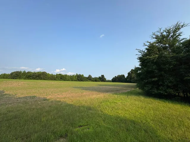 a view of an ocean and beach