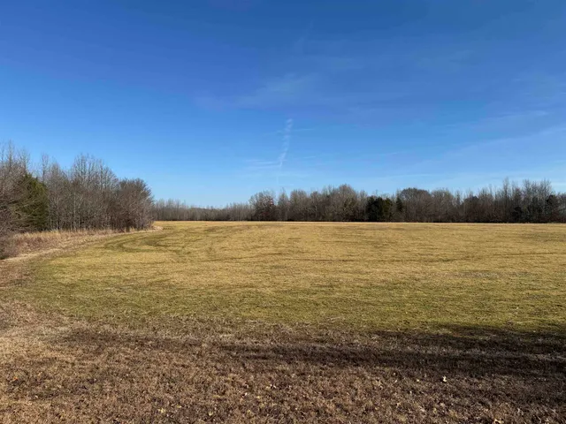 a view of an ocean from a yard